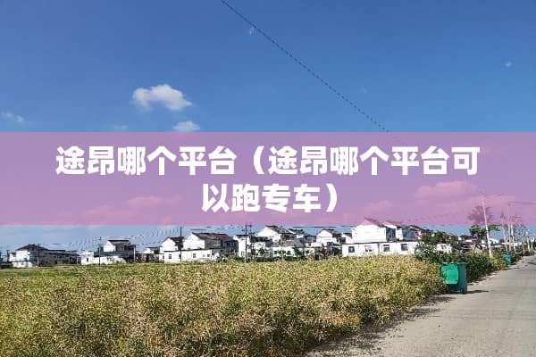途昂哪个平台（途昂哪个平台可以跑专车）