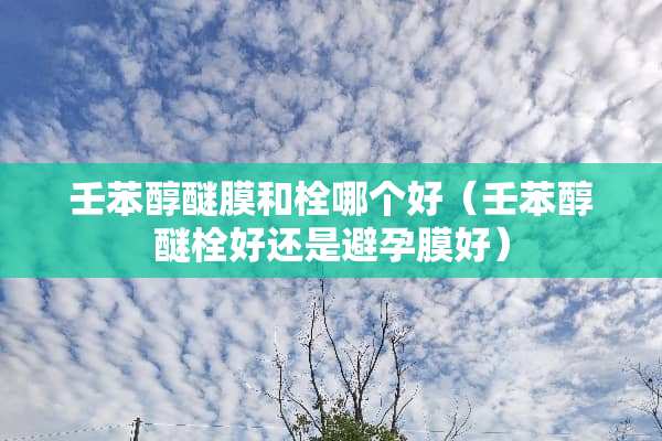 壬苯醇醚膜和栓哪个好（壬苯醇醚栓好还是***好）