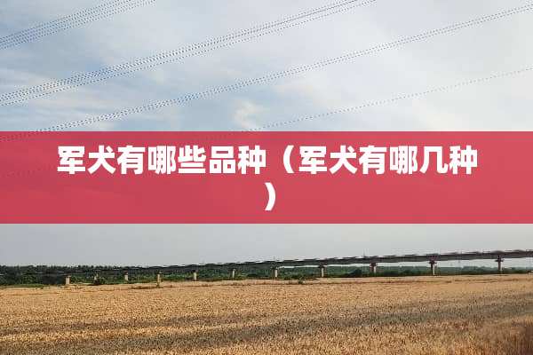 军犬有哪些品种（军犬有哪几种）