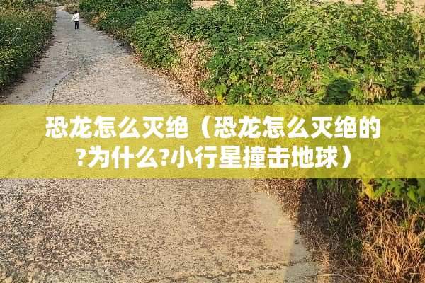 恐龙怎么灭绝（恐龙怎么灭绝的?为什么?小行星撞击地球）