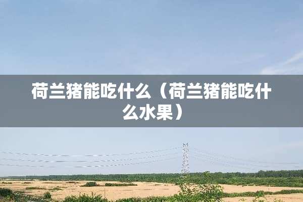 荷兰猪能吃什么（荷兰猪能吃什么水果）
