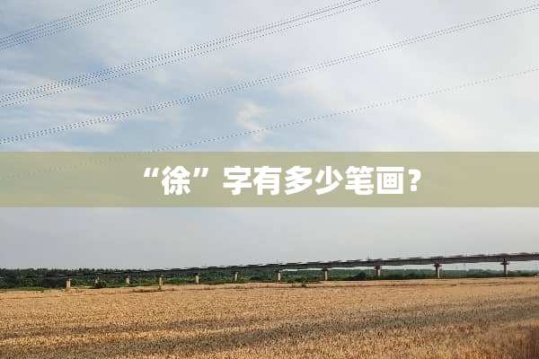 “徐”字有多少笔画？