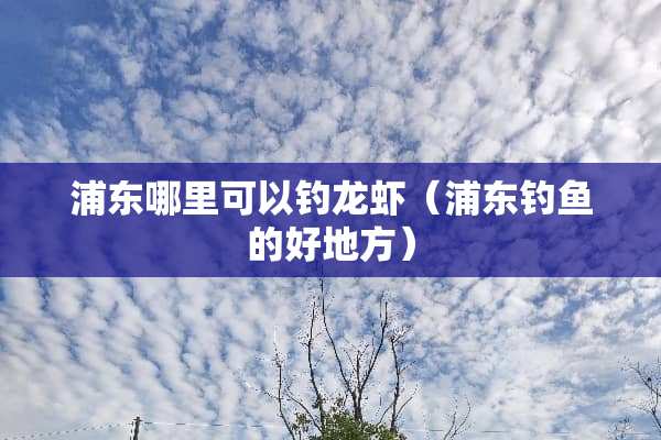 浦东哪里可以钓龙虾（浦东钓鱼的好地方）