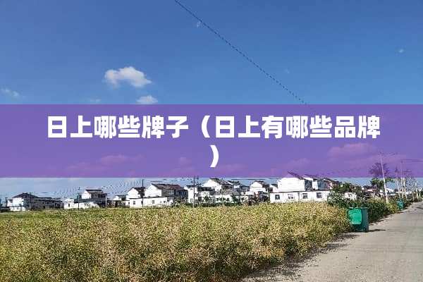 日上哪些牌子（日上有哪些品牌）