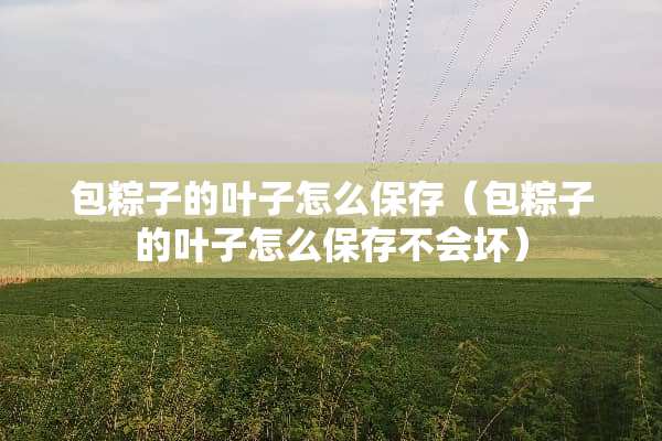 包粽子的叶子怎么保存（包粽子的叶子怎么保存不会坏）