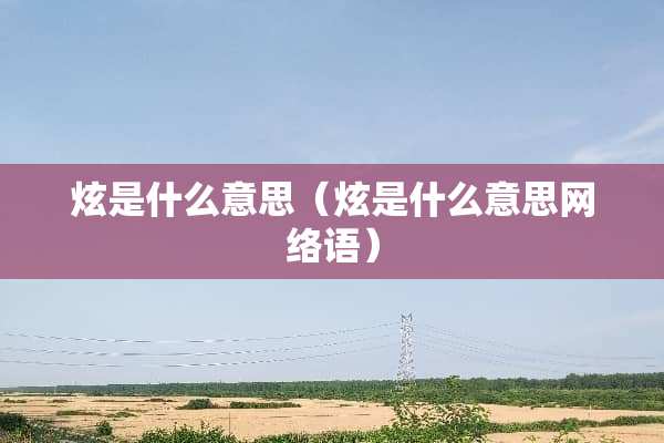 炫是什么意思（炫是什么意思网络语）