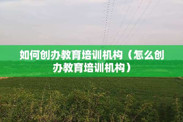 如何创办教育培训机构（怎么创办教育培训机构）
