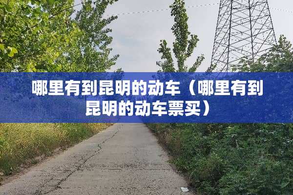 哪里有到昆明的动车（哪里有到昆明的动车票买）