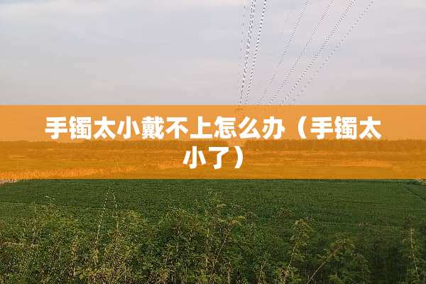 手镯太小戴不上怎么办（手镯太小了）