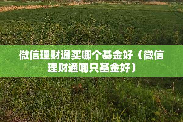 微信理财通买哪个基金好（微信理财通哪只基金好）