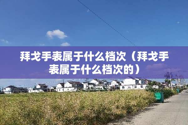 拜戈手表属于什么档次（拜戈手表属于什么档次的）