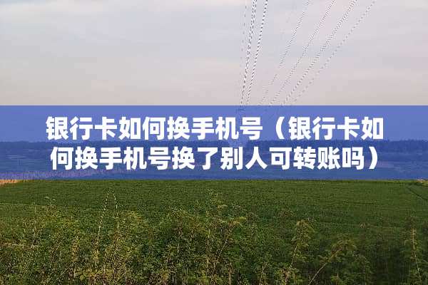 ***如何换手机号（***如何换手机号换了别人可转账吗）