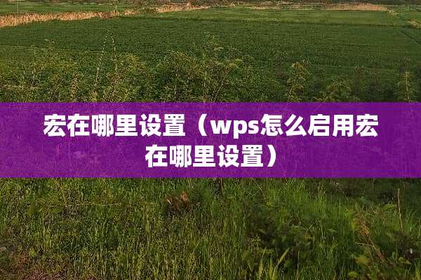 宏在哪里设置（wps怎么启用宏在哪里设置）
