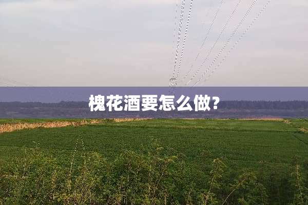 槐花酒要怎么做？