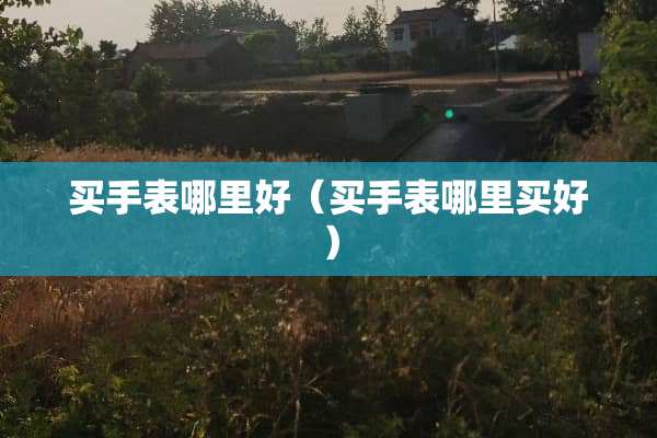 买手表哪里好（买手表哪里买好）