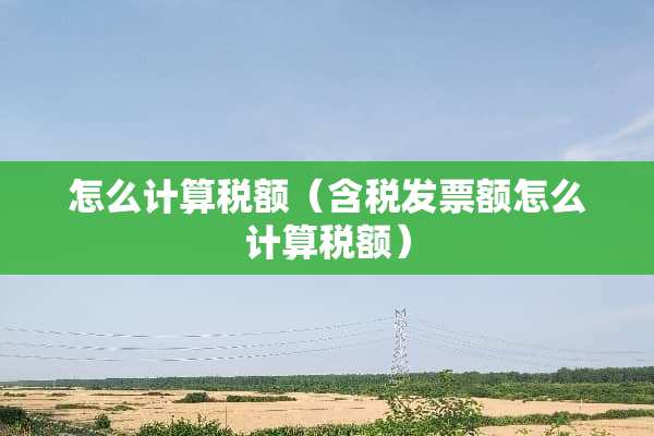 怎么计算税额（含税**额怎么计算税额）