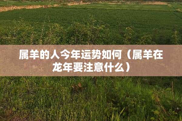 属羊的人今年运势如何（属羊在龙年要注意什么）