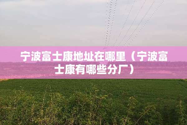 宁波富士康地址在哪里（宁波富士康有哪些分厂）