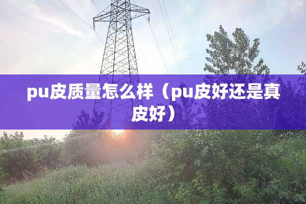 pu皮质量怎么样（pu皮好还是真皮好）