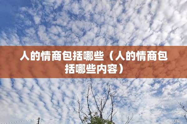 人的情商包括哪些（人的情商包括哪些内容）