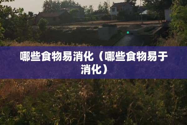 哪些食物易消化（哪些食物易于消化）