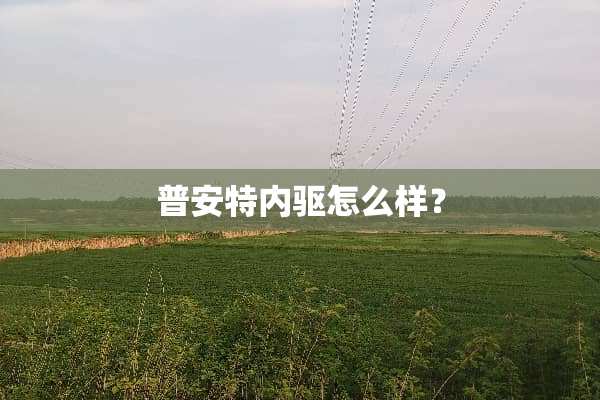 普安特内驱怎么样？