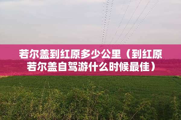 若尔盖到红原多少公里（到红原若尔盖自驾游什么时候最佳）