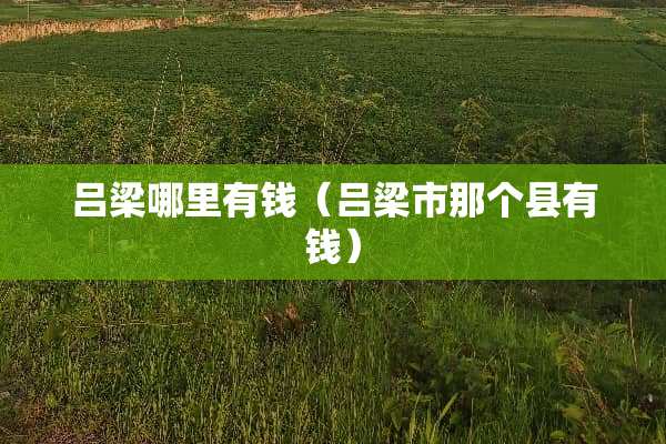 吕梁哪里有钱（吕梁市那个县有钱）