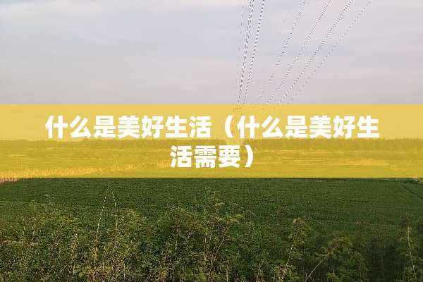 什么是美好生活（什么是美好生活需要）