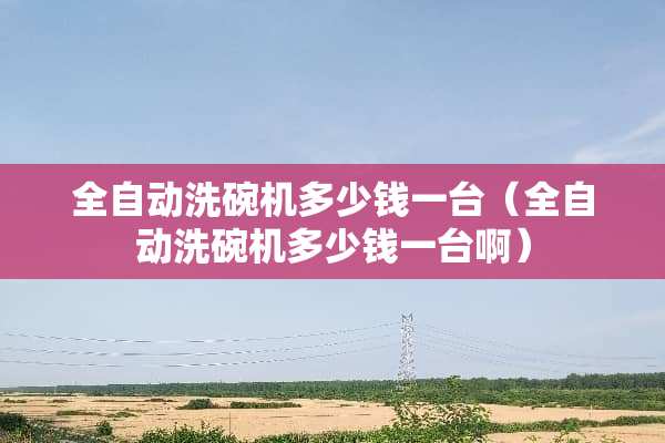 全自动洗碗机多少钱一台（全自动洗碗机多少钱一台啊）