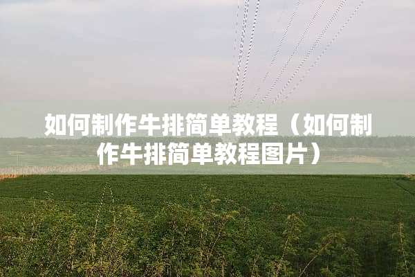 如何制作牛排简单教程（如何制作牛排简单教程图片）