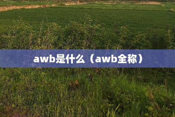 awb是什么（awb全称）