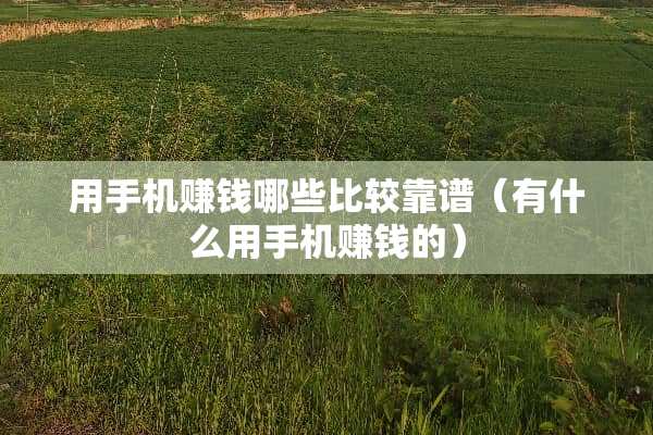 用手机赚钱哪些比较靠谱（有什么用手机赚钱的）