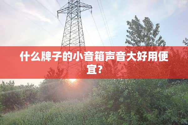 什么牌子的小音箱声音大好用便宜？