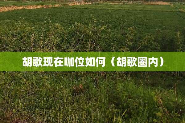 胡歌现在咖位如何（胡歌圈内）
