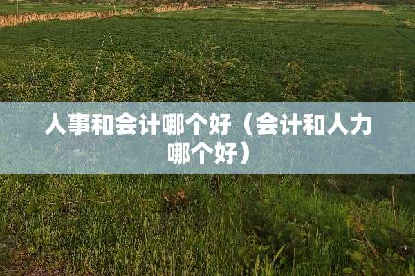 人事和会计哪个好（会计和人力哪个好）