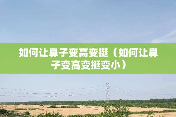 如何让鼻子变高变挺（如何让鼻子变高变挺变小）