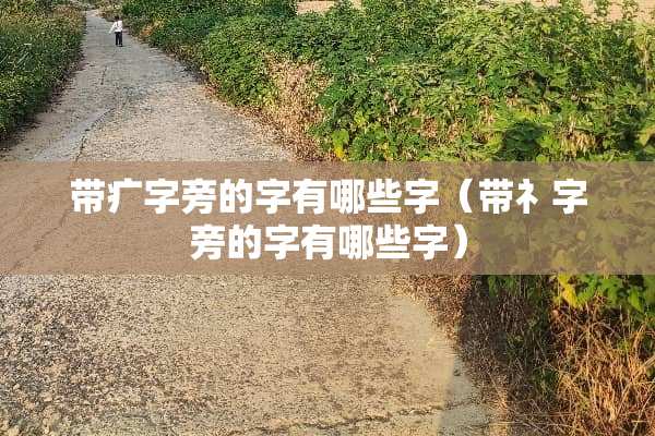 带疒字旁的字有哪些字（带礻字旁的字有哪些字）