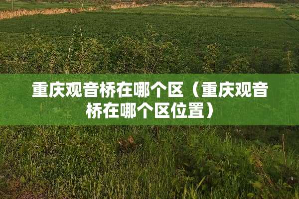 重庆观音桥在哪个区（重庆观音桥在哪个区位置）