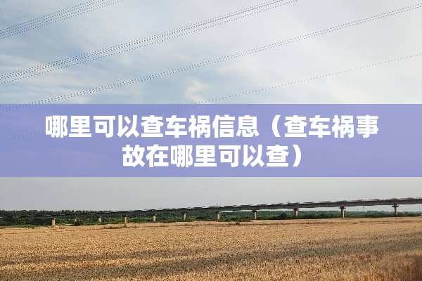 哪里可以查车祸信息（查车祸事故在哪里可以查）