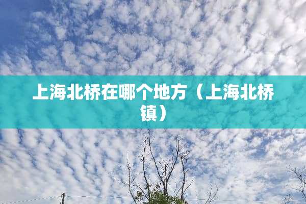 上海北桥在哪个地方（上海北桥镇）