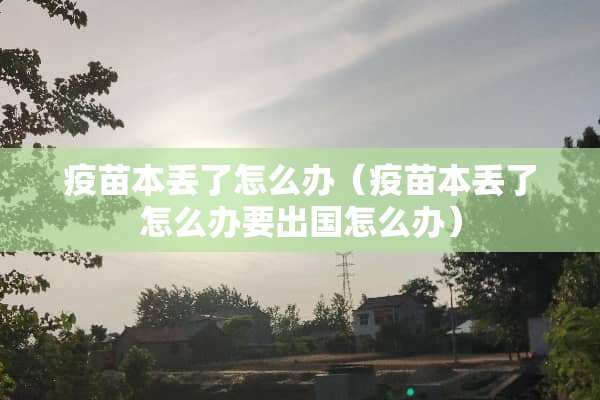**本丢了怎么办（**本丢了怎么办要出国怎么办）