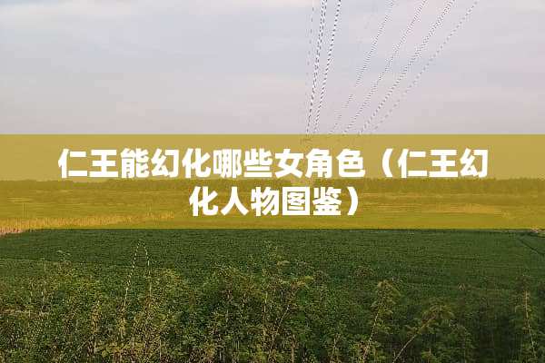 仁王能幻化哪些女角色（仁王幻化人物图鉴）