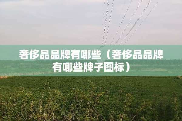 奢侈品品牌有哪些（奢侈品品牌有哪些牌子图标）