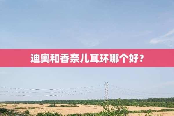迪奥和香奈儿耳环哪个好？