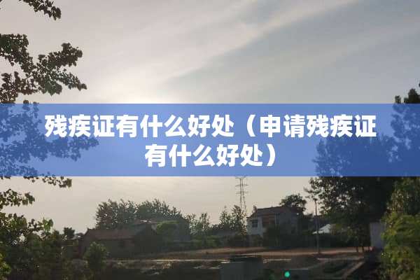 残疾证有什么好处（申请残疾证有什么好处）