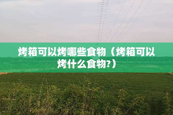烤箱可以烤哪些食物（烤箱可以烤什么食物?）