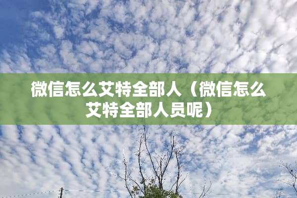 微信怎么艾特全部人（微信怎么艾特全部人员呢）