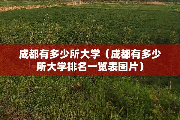 成都有多少所大学（成都有多少所大学排名一览表图片）