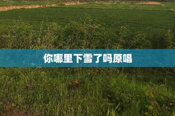 你哪里下雪了吗原唱